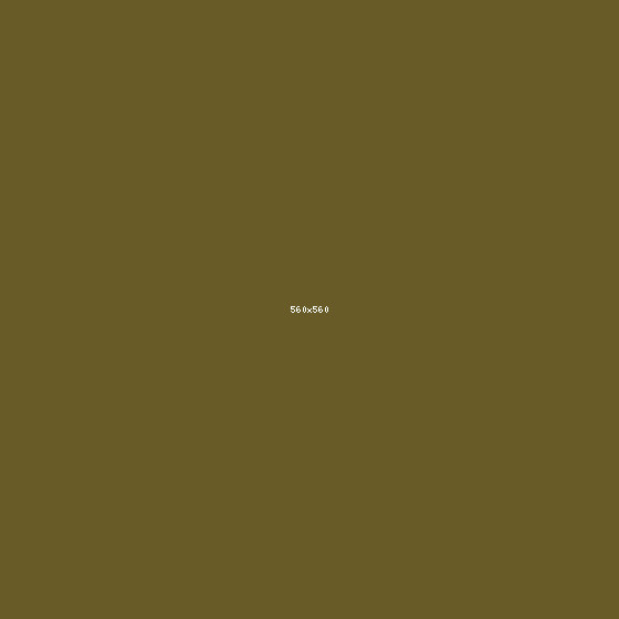 Field 4